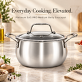 Platinum SAS PRO Belly Saucepot with Glass Lid (Induction Friendly)